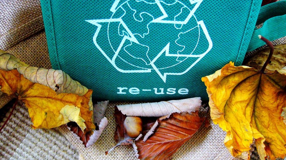 Recycling Recycling