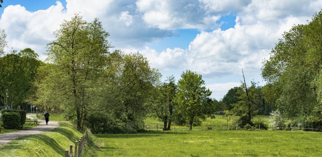 Aerial view of the chevreuse - Yvelines hiking trails